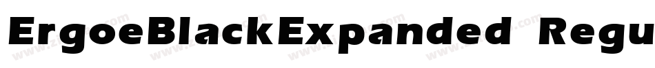 ErgoeBlackExpanded Regular字体转换